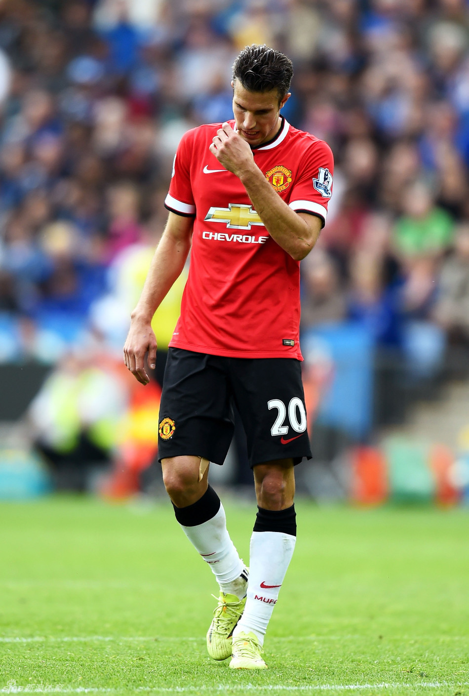 CBA季后赛前瞻：辽宁男篮力争三连冠,（CBA季后赛展望：辽宁男篮剑指三连冠）